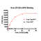 Kras G12D– cRAF Binding Assay Kit 